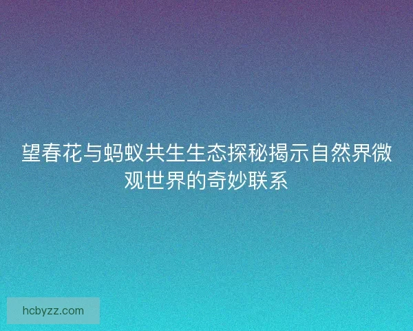 望春花与蚂蚁共生生态探秘揭示自然界微观世界的奇妙联系