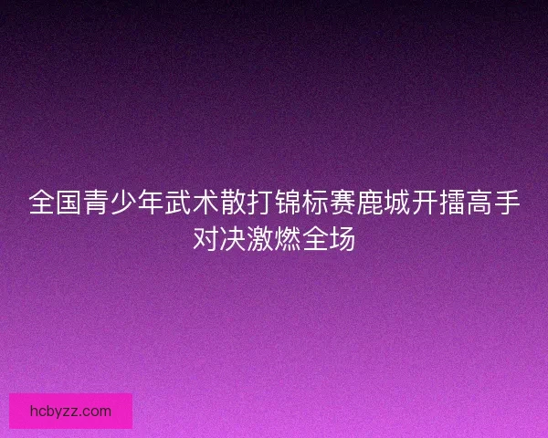 全国青少年武术散打锦标赛鹿城开擂高手对决激燃全场